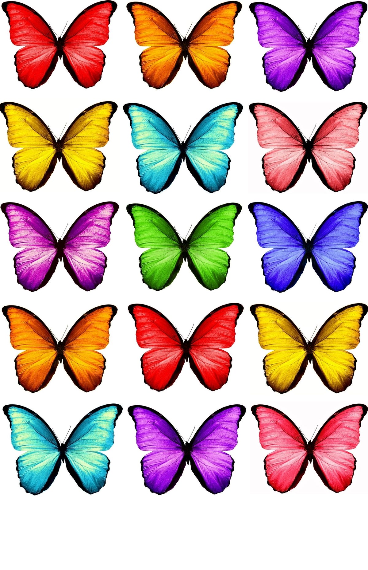 Cake Topper 30x Rainbow Butterfly Edible Decorations