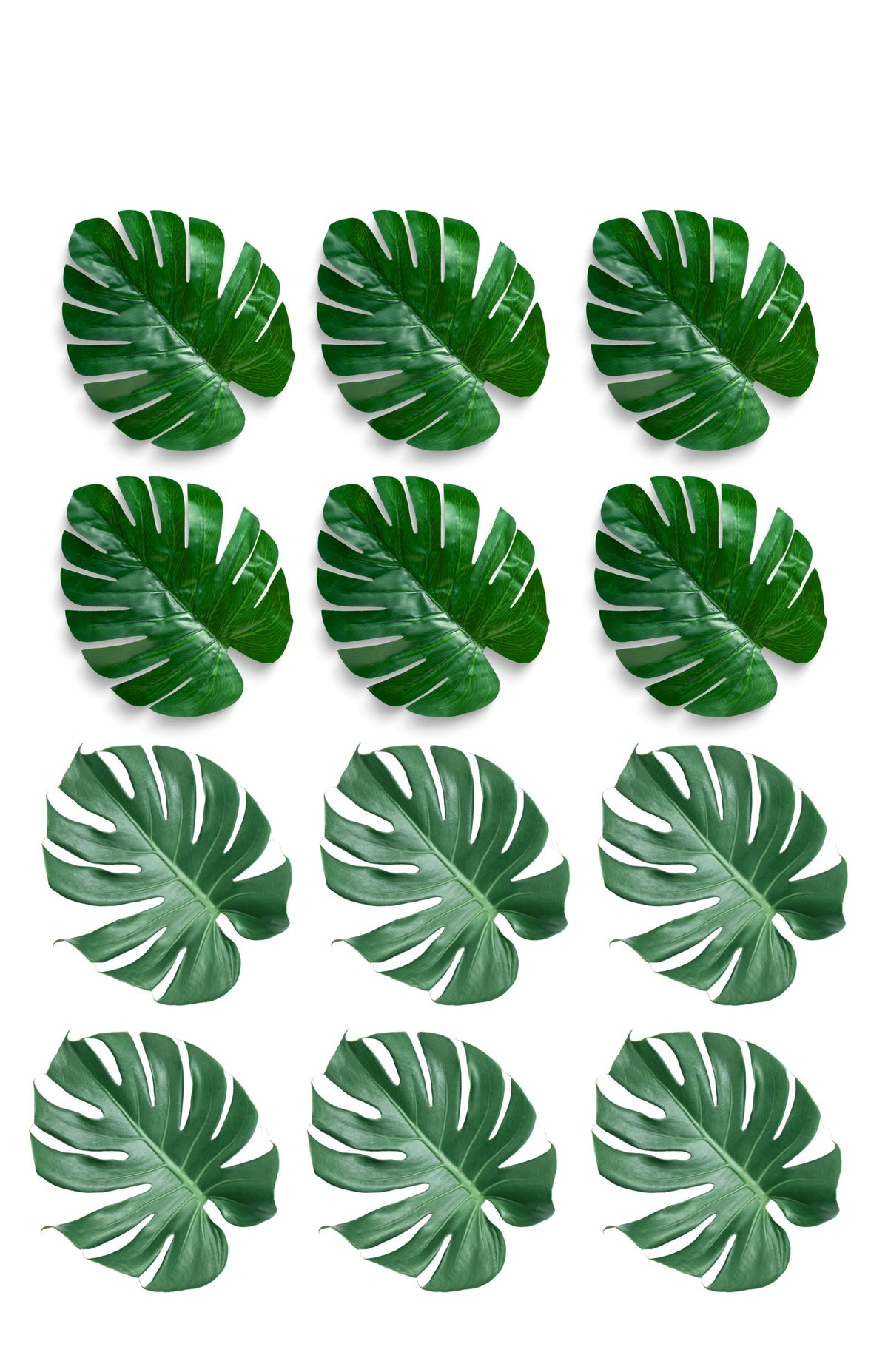 Cake Topper 24x Jungle Leaves Edible Decorations